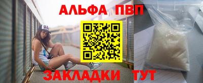 стаф Кингисепп