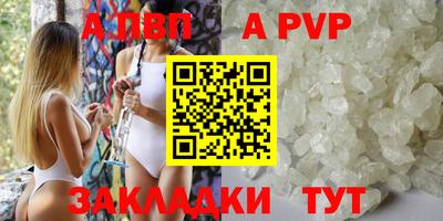 стаф Кингисепп