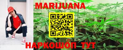 стаф Кингисепп