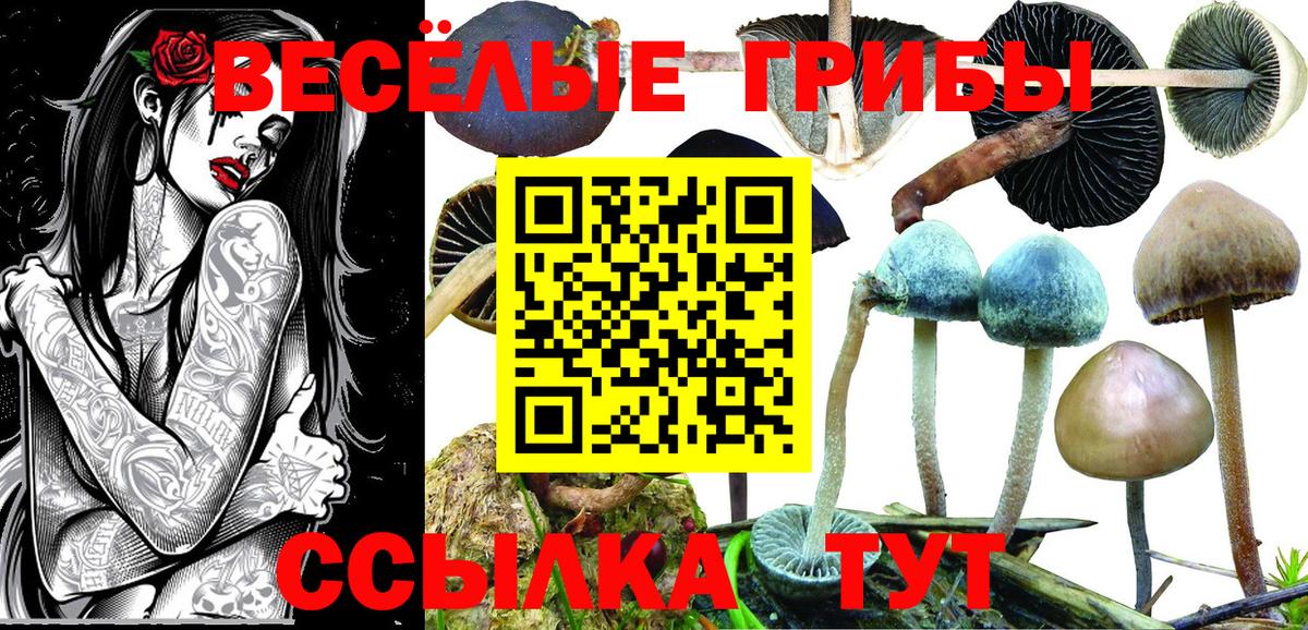 Ейск  Галлюциногенные грибы MAGIC MUSHROOMS  Вход с VPN 
